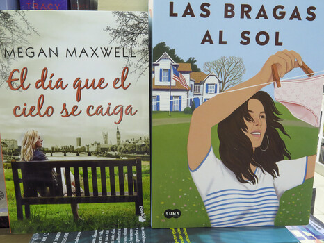 Elizabeth M. Williams Photography:  Regarding Human Perception Bookscapes 1 (click on images to enlarge) 