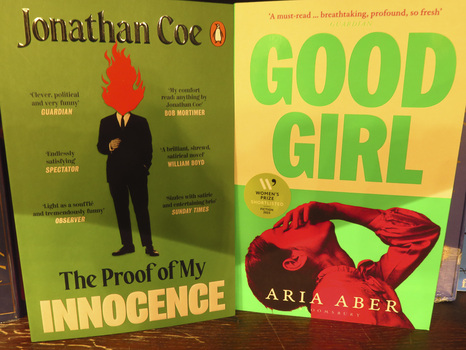 Elizabeth M. Williams Photography:  Regarding Human Perception Bookscapes 2 (click on images to enlarge) 