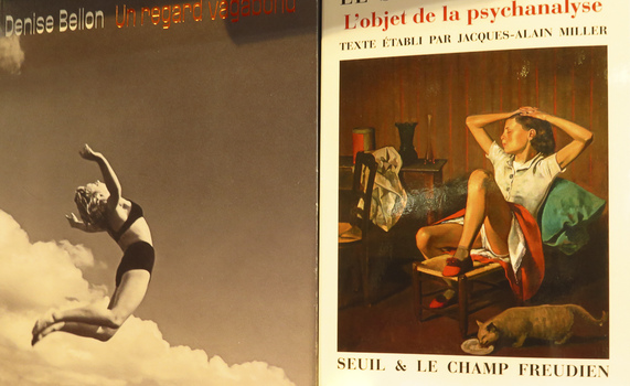 Elizabeth M. Williams Photography:  Regarding Human Perception Bookscapes 1 (click on images to enlarge) 