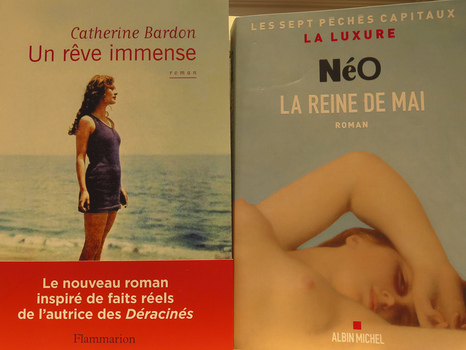 Elizabeth M. Williams Photography:  Regarding Human Perception Bookscapes 1 (click on images to enlarge) 