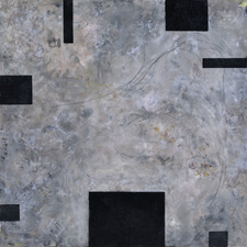 Elizabeth Harris WALL SCULPTURE Encaustic, marble dust, horsehair, and plant material on panel