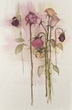 Elizabeth Riggle Roses 40"x26"