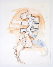 Elizabeth Riggle Drawings conte, gouache on paper