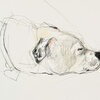  Observational and Representational Drawings charcoal pencil and prismacolor pencil on paper