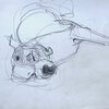 Observational and Representational Drawings charcoal on paper