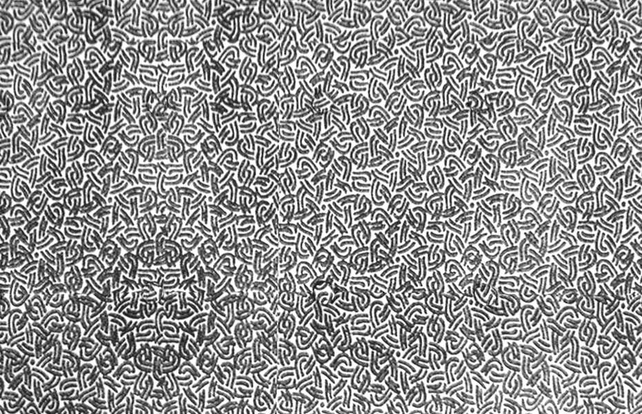 Elizabeth Duffy Security Envelope Projects Prolonged Exposure And Elizabeth Duffy Security Envelope Projects Prolonged Exposure And