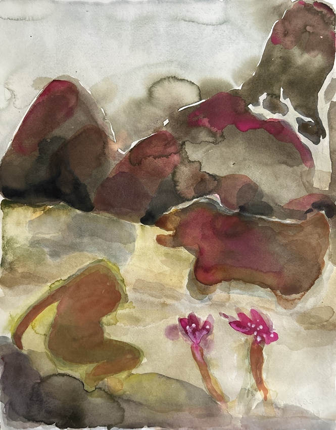 Elizabeth Terhune Large Watercolors watercolor and gouache