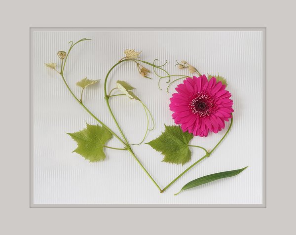 Ella Putney Carlson Gallery - Flowers and Grace 