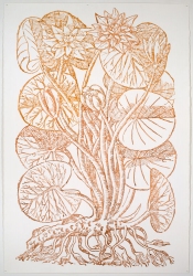 Ellen Kahn Botanical Works on Paper ink on paper