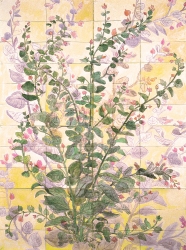 Ellen Kahn Botanical Works on Paper watercolor on paper