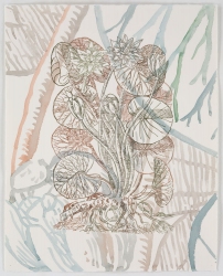 Ellen Kahn Botanical Works on Paper ink and watercolor on paper