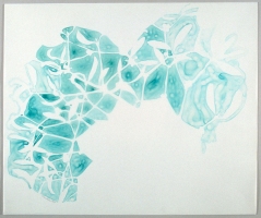 Ellen Kahn Shadow Works on Paper ink on mylar