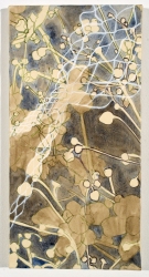 Ellen Kahn Botanical Paintings oil on canvas