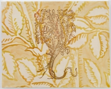 Ellen Kahn Botanical Paintings oil on canvas