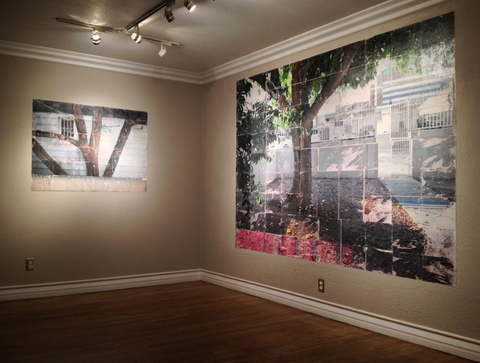 Erik Beehn Selected Earlier Work (2006-2012) Inkjet Transfers, and Acrylic Varnish directly onto the wall