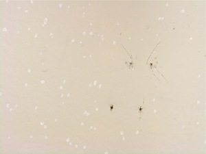 Erin Barach Studio 349 Acrylic and found materials