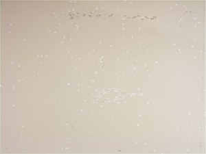 Erin Barach Studio 349 Acrylic and found materials