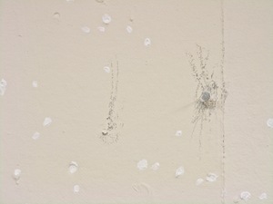 Erin Barach Studio 349 Acrylic and found materials