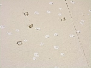 Erin Barach Studio 349 Acrylic and found materials