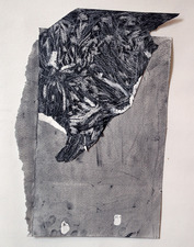 Erin Barach FRAGMENTS Charcoal, acrylic, & graphite on paper