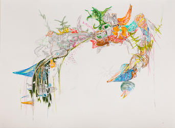Erin Treacy Islands/Centerpieces Pencil, Conte, Marker, Acrylic on Paper