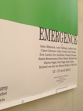 FIEROZA DOORSEN Emergence, Curated by Erin Lawler, Katrin Bremermann, Yifat Gat, Hotel de Sauroy, Paris, 2013 