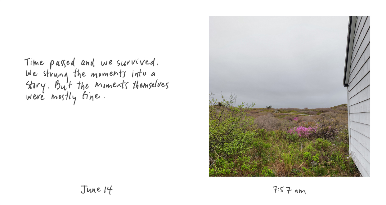 Firth MacMillan Visual Journal: The Shape of the Moment  