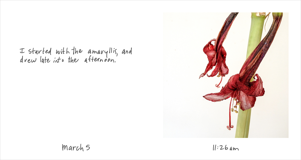 Firth MacMillan Visual Journal: The Shape of the Moment  