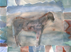  ANIMALS: HORSES Watercolor