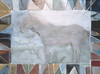  ANIMALS: HORSES Watercolor