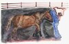  ANIMALS: HORSES Watercolor on CM Fabriano 100% cotton paper
