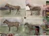  ANIMALS: HORSES Watercolor/gouache on Arches France