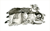 Carousel artwork image 883