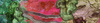Carousel artwork image 909