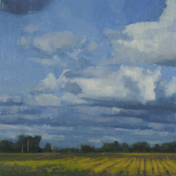Clouds and Field, Spring