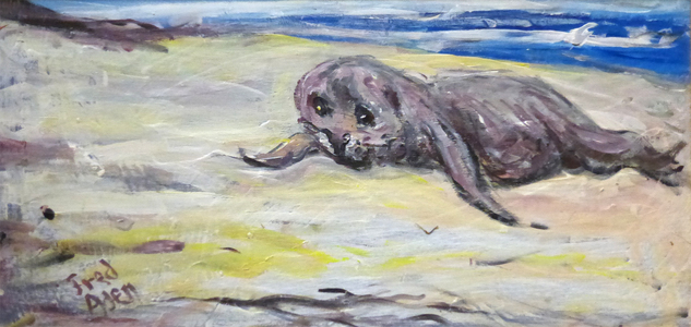 Fred Adell - Wildlife Artist Mammals - Pinnipeds (seals, sea lions, walrus) Acrylic