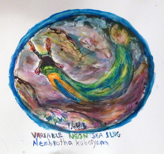Fred Adell - Wildlife Artist Mollusks mixed media (ink, watercolor, oil pastel)