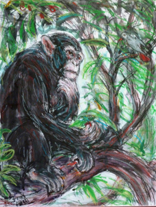 Fred Adell - Wildlife Artist Mammals - Primates Mixed Media on Illusration Board