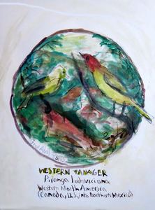 Fred Adell - Wildlife Artist Works on Paper Mixed media Mixed Media (ink, watercolor and tempera)