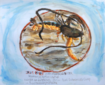 Fred Adell - Wildlife Artist Crustaceans Mixed Media (Ink, watercolor, tempera), bristol board