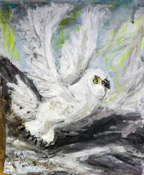 Fred Adell - Wildlife Artist Owls mixed media (ink, watercolor, tempera) on illustration board