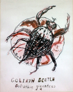 Fred Adell - Wildlife Artist Insects mixed media (sepia and India ink) on paper