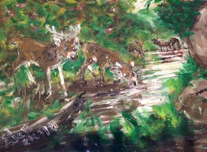 Fred Adell - Wildlife Artist Deer Mixed Media (Ink, watercolor, tempera) on watercolor paper