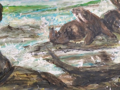 Fred Adell - Wildlife Artist Mammals - Pinnipeds (seals, sea lions, walrus) Mixed Media (Ink, watercolor, tempera) on watercolor paper