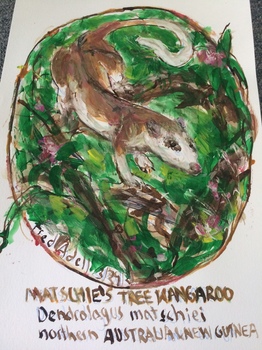 Fred Adell - Wildlife Artist Kangaroos Mixed Media (Ink, watercolor, tempera) on watercolor paper