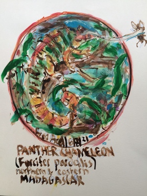 Fred Adell - Wildlife Artist Lizards (2021) Mixed Media (Ink, watercolor, tempera) on watercolor paper