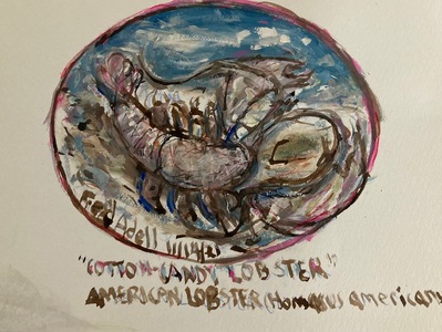 Fred Adell - Wildlife Artist Crustaceans Mixed Media (Ink, watercolor, tempera) on watercolor paper