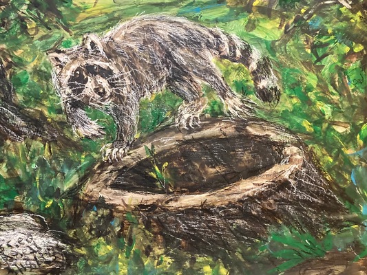 Fred Adell - Wildlife Artist Raccoons Mixed Media (Ink, watercolor, tempera) on illustration board