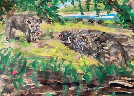 Fred Adell - Wildlife Artist Pigs Mixed Media (Ink, watercolor, tempera) on watercolor paper