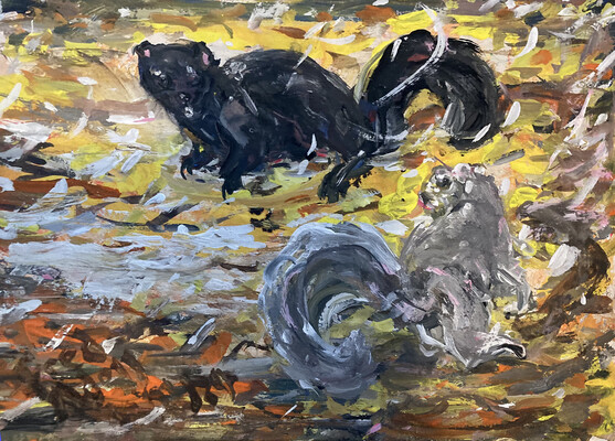 Fred Adell - Wildlife Artist Squirrels Mixed Media (ink, watercolor, tempera) on watercolor paper